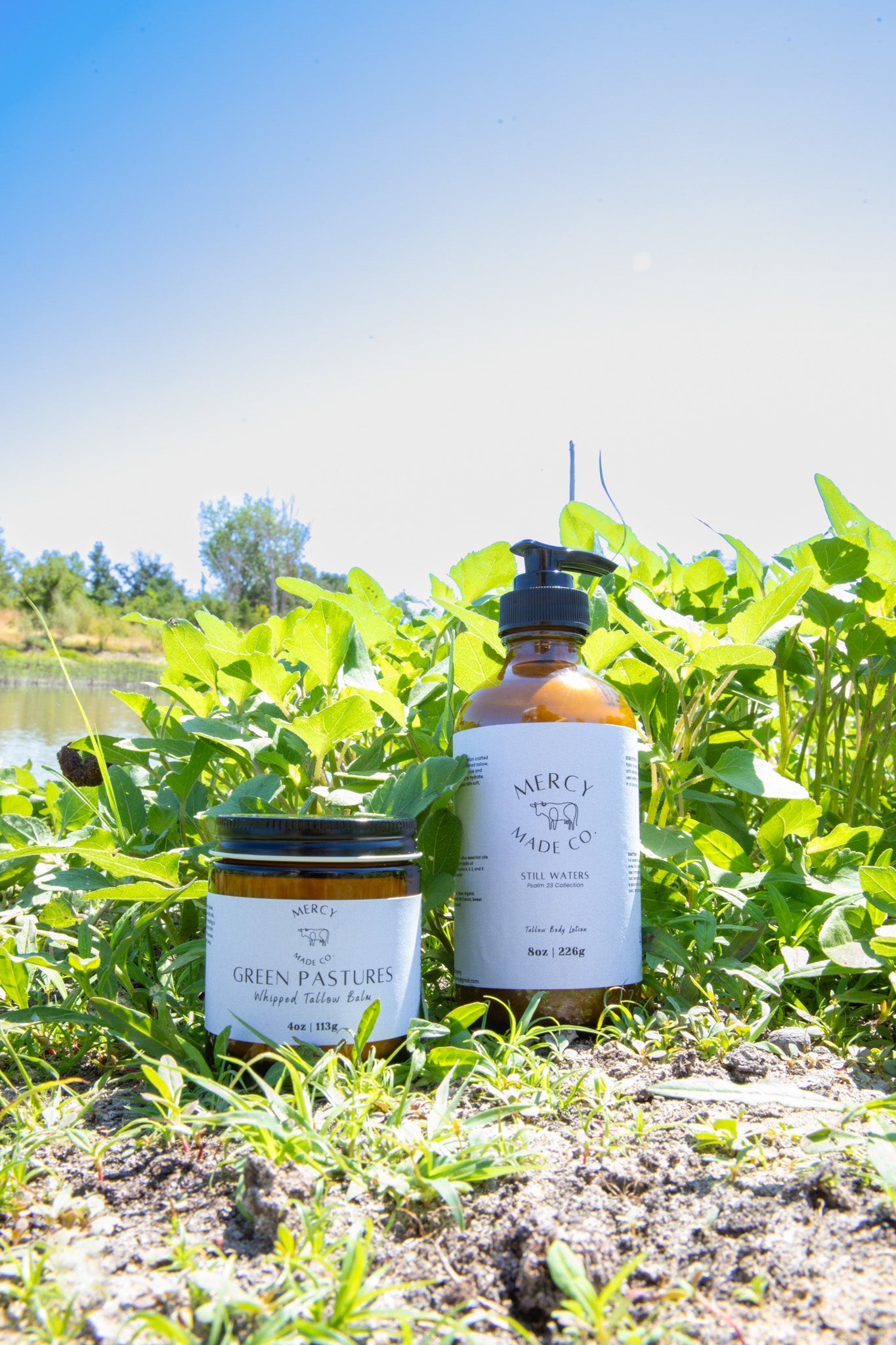 Green Pastures | Citrus Tallow Whip